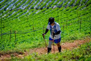 BIB: 
                            <button type="button" onclick="openModal(19164551)" class="btn btn-primary btn-sm float-right btn-popup" data-toggle="modal" data-target=".modal-high-quality">
                        <i class="fas fa-shopping-cart"></i> Add to Cart
                    </button>
                                            <button type="button" onclick="isThisMe(19164551, true)" class="btn btn-success btn-sm float-right btn-popup btn-isme hidden" data-toggle="tooltip" data-placement="bottom" title="นี่คือรูปของคุณใช่ไหม คลิกที่นี่เพื่อเอาเข้าอัลบั้ม">
                        <i class="fas fa-plus"></i> Add to album
                    </button>
                    <button type="button" onclick="isThisMe(19164551, false)" class="btn btn-warning btn-sm float-right btn-popup btn-isnotme hidden">
                        <i class="fas fa-ban"></i> Remove from album
                    </button>